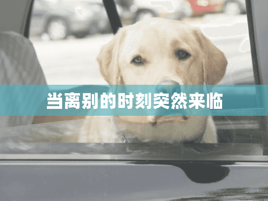 当离别的时刻突然来临