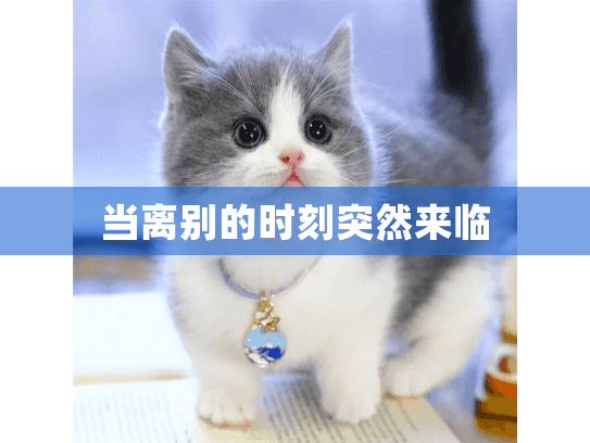 当离别的时刻突然来临