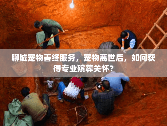 聊城宠物善终服务，宠物离世后，如何获得专业殡葬关怀？