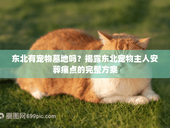 东北有宠物墓地吗？揭露东北宠物主人安葬痛点的完整方案