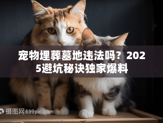 宠物埋葬墓地违法吗？2025避坑秘诀独家爆料