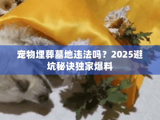 宠物埋葬墓地违法吗？2025避坑秘诀独家爆料