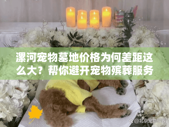 漯河宠物墓地价格为何差距这么大？帮你避开宠物殡葬服务坑点陷阱