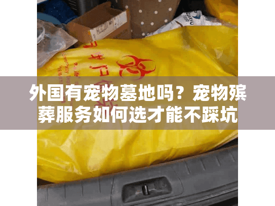 外国有宠物墓地吗？宠物殡葬服务如何选才能不踩坑