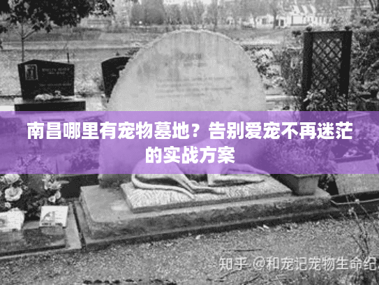 南昌哪里有宠物墓地？告别爱宠不再迷茫的实战方案