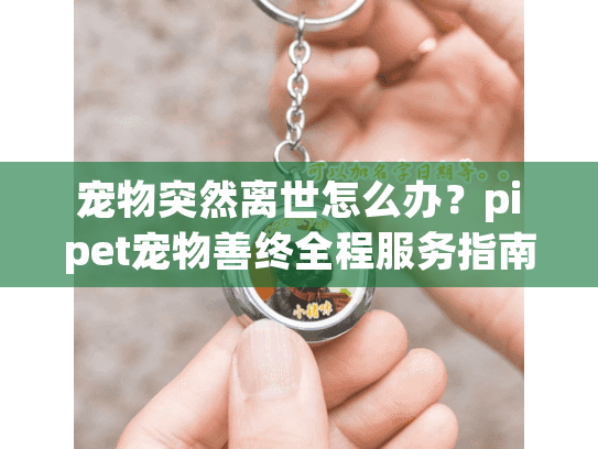 宠物突然离世怎么办？pipet宠物善终全程服务指南