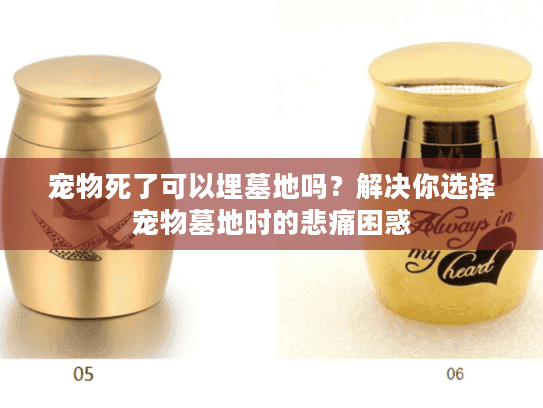 宠物死了可以埋墓地吗？解决你选择宠物墓地时的悲痛困惑