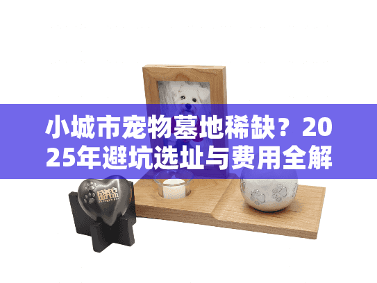 小城市宠物墓地稀缺？2025年避坑选址与费用全解析