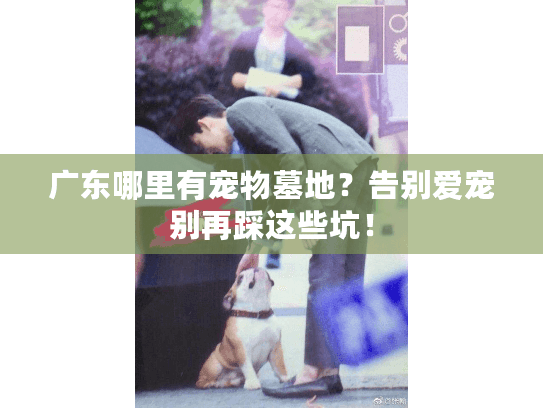 广东哪里有宠物墓地？告别爱宠别再踩这些坑！