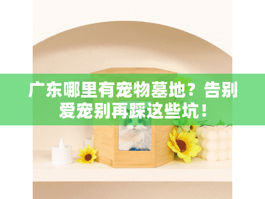 广东哪里有宠物墓地？告别爱宠别再踩这些坑！