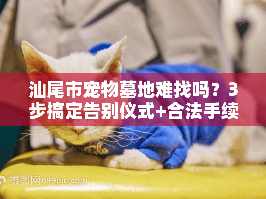 汕尾市宠物墓地难找吗？3步搞定告别仪式+合法手续避坑指南