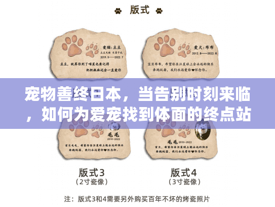 宠物善终日本，当告别时刻来临，如何为爱宠找到体面的终点站