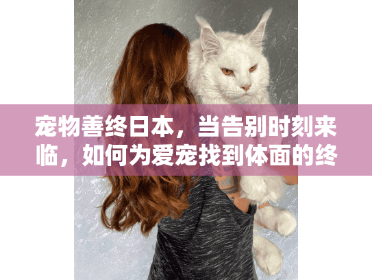 宠物善终日本，当告别时刻来临，如何为爱宠找到体面的终点站