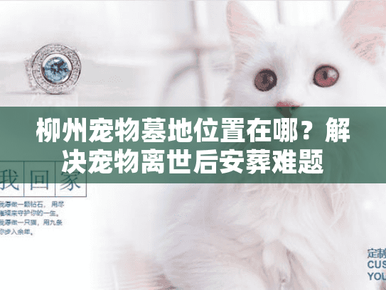 柳州宠物墓地位置在哪?解决宠物离世后安葬难题 柳州宠物墓地位置在哪?解决宠物离世后安葬难题