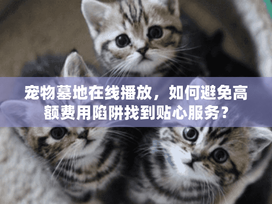 宠物墓地在线播放，如何避免高额费用陷阱找到贴心服务？