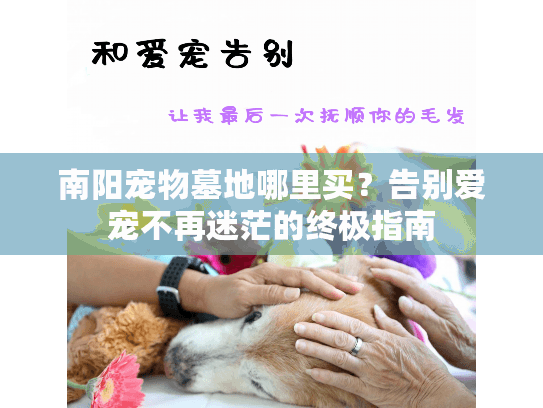 南阳宠物墓地哪里买？告别爱宠不再迷茫的终极指南