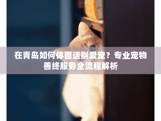 在青岛如何体面送别爱宠？专业宠物善终服务全流程解析