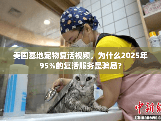 美国墓地宠物复活视频，为什么2025年95%的复活服务是骗局？