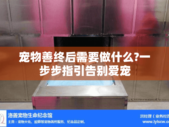 宠物善终后需要做什么?一步步指引告别爱宠
