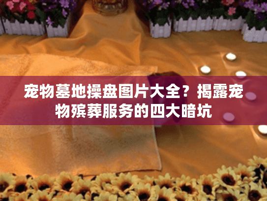 宠物墓地操盘图片大全？揭露宠物殡葬服务的四大暗坑