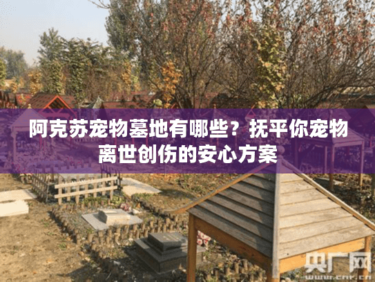 阿克苏宠物墓地有哪些？抚平你宠物离世创伤的安心方案