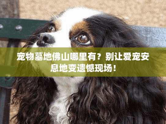 宠物墓地佛山哪里有？别让爱宠安息地变遗憾现场！
