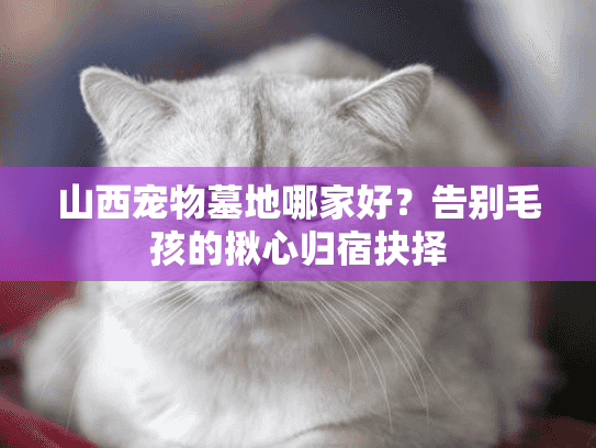 山西宠物墓地哪家好？告别毛孩的揪心归宿抉择