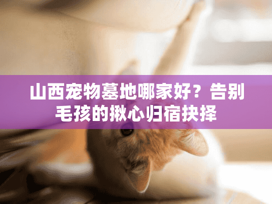 山西宠物墓地哪家好？告别毛孩的揪心归宿抉择