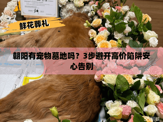 朝阳有宠物墓地吗？3步避开高价陷阱安心告别