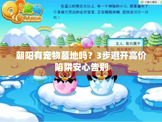 朝阳有宠物墓地吗？3步避开高价陷阱安心告别