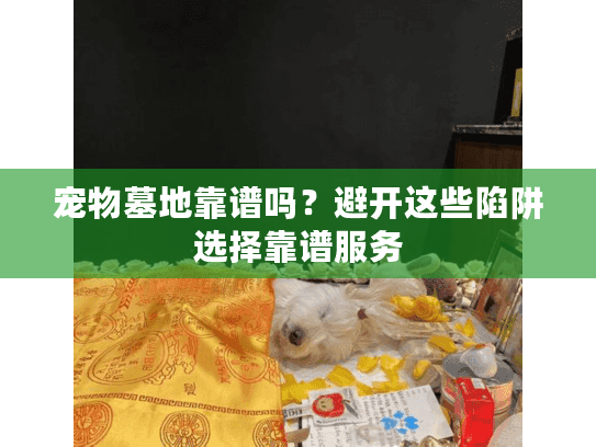 宠物墓地靠谱吗？避开这些陷阱选择靠谱服务