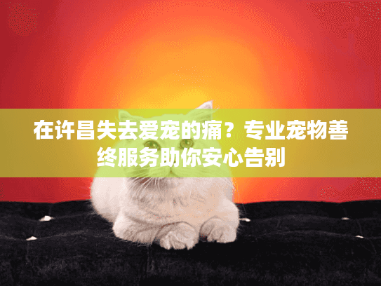 在许昌失去爱宠的痛？专业宠物善终服务助你安心告别
