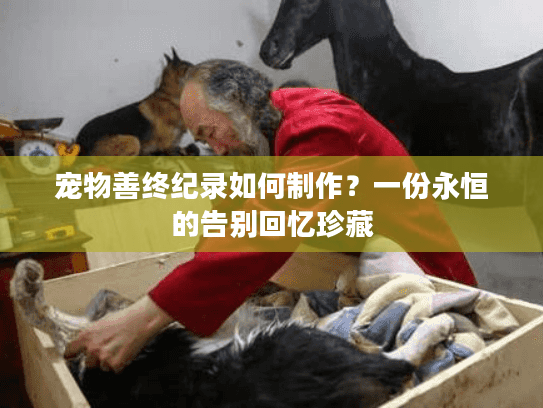 宠物善终纪录如何制作？一份永恒的告别回忆珍藏