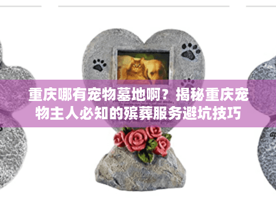 重庆哪有宠物墓地啊？揭秘重庆宠物主人必知的殡葬服务避坑技巧