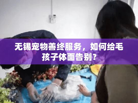无锡宠物善终服务，如何给毛孩子体面告别？