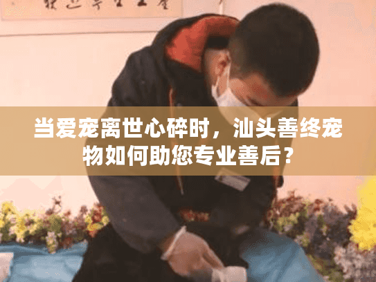 当爱宠离世心碎时，汕头善终宠物如何助您专业善后？