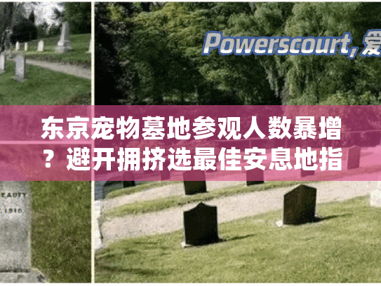 东京宠物墓地参观人数暴增？避开拥挤选最佳安息地指南