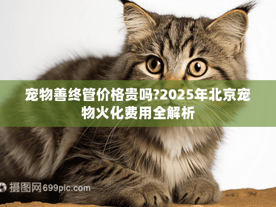 宠物善终管价格贵吗?2025年北京宠物火化费用全解析