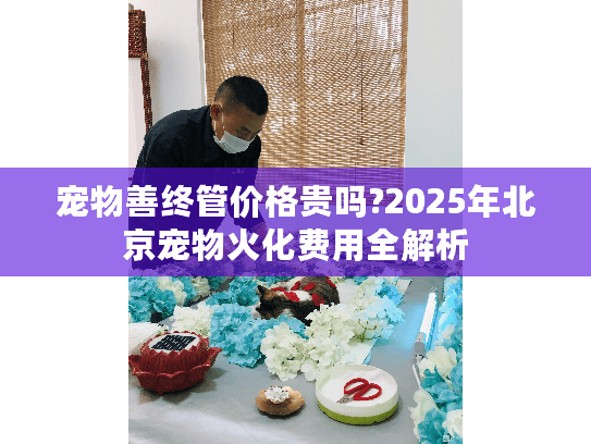 宠物善终管价格贵吗?2025年北京宠物火化费用全解析
