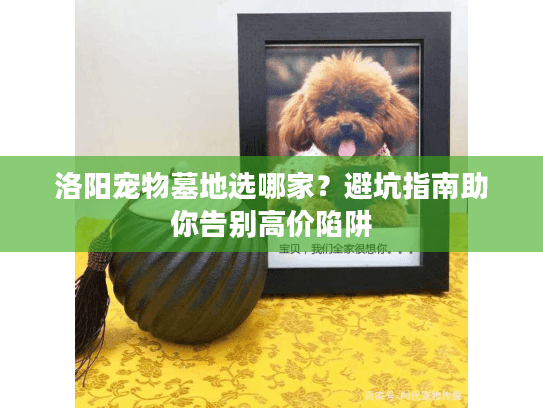 洛阳宠物墓地选哪家？避坑指南助你告别高价陷阱