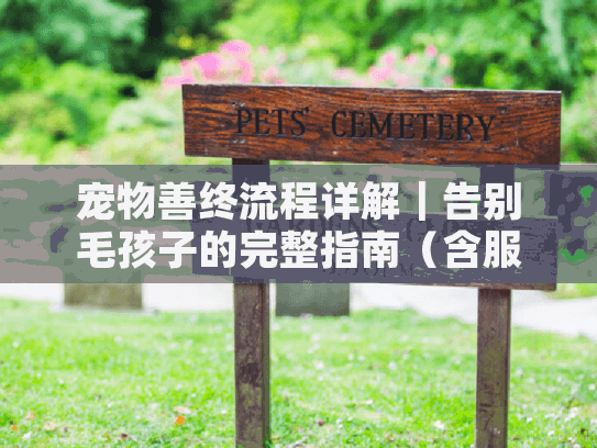 宠物善终流程详解｜告别毛孩子的完整指南（含服务选择避坑要点）