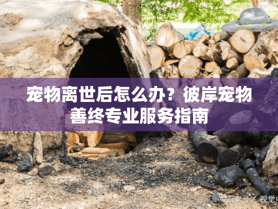 宠物离世后怎么办？彼岸宠物善终专业服务指南