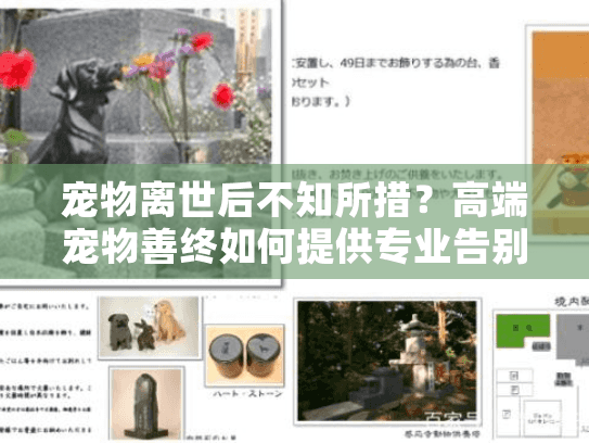 宠物离世后不知所措？高端宠物善终如何提供专业告别方案
