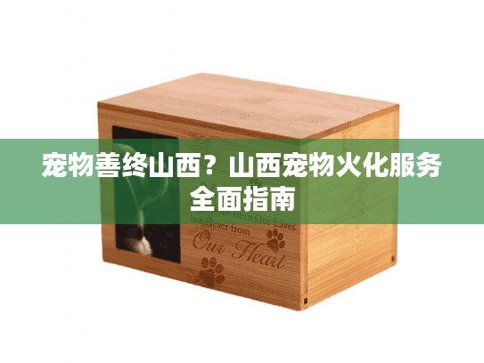 宠物善终山西？山西宠物火化服务全面指南