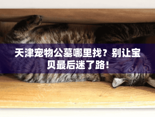 天津宠物公墓哪里找？别让宝贝最后迷了路！