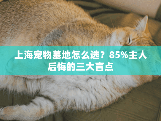 上海宠物墓地怎么选？85%主人后悔的三大盲点