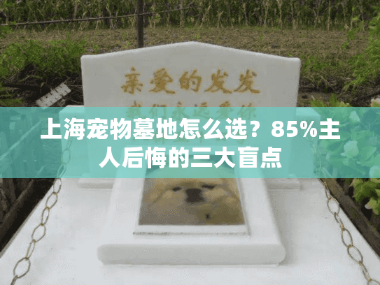 上海宠物墓地怎么选？85%主人后悔的三大盲点