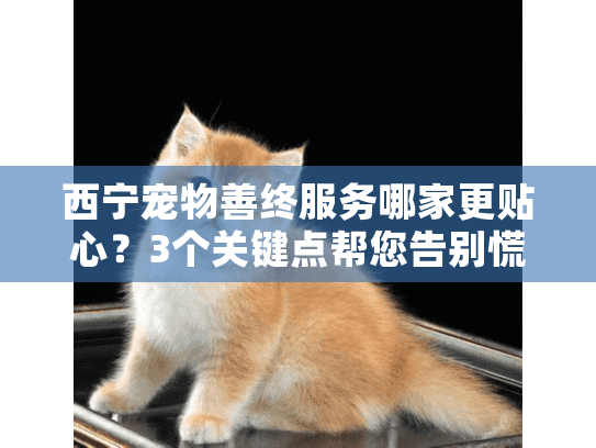 西宁宠物善终服务哪家更贴心？3个关键点帮您告别慌乱时刻