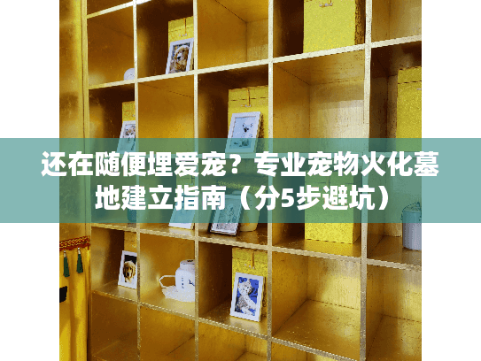 还在随便埋爱宠？专业宠物火化墓地建立指南（分5步避坑）