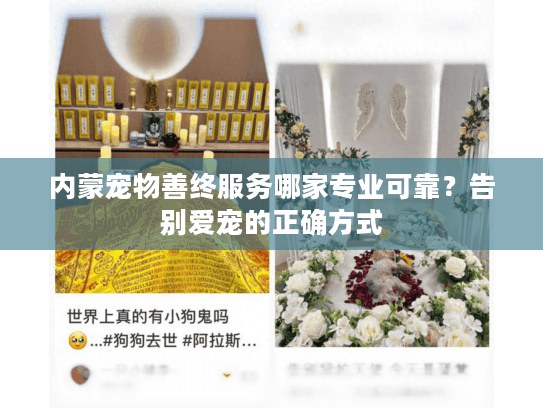 内蒙宠物善终服务哪家专业可靠？告别爱宠的正确方式